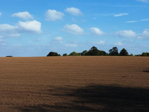 https://d33wubrfki0l68.cloudfront.net/fc39ca73dfb2ffda7ceef25b3a42c9d7fd08e06f/9ddd2/images/field.jpg