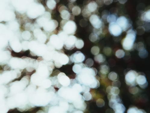 https://d33wubrfki0l68.cloudfront.net/f96033e3e30f4aa2b3cf9bd18191004ab70dd5b9/5f2e1/images/little-bokeh.jpg