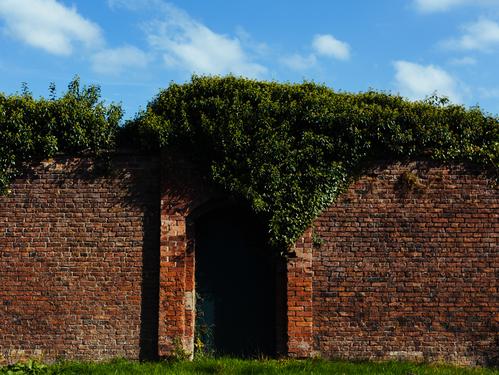 https://d33wubrfki0l68.cloudfront.net/4a4979fd77ad99179bb6385ea6691432416dfcab/266e5/images/secret_garden.jpg